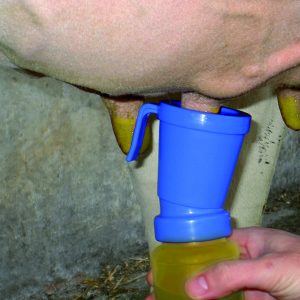 Euterhygiene nach dem Melken